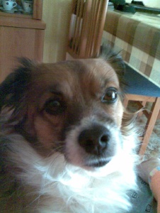 Foto de Anica37