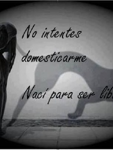 Foto de Madregolfa