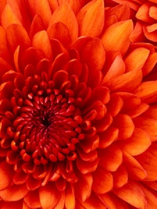 Foto de Lola313131