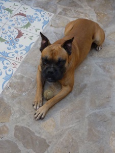 Foto de Menusa