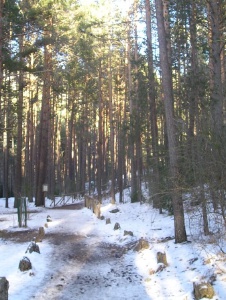Foto von Chiquitin125
