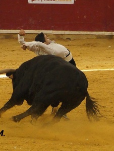 Foto de Recortador232