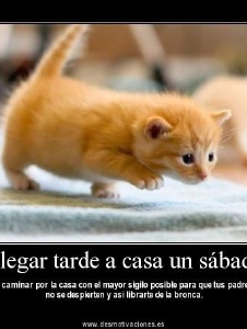 Foto de Adrianalexander