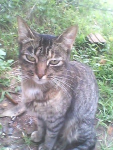 Foto de Franciele115