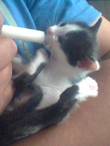 Foto de Christiann1012