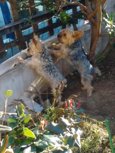Photo de Nounouche4