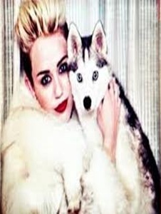 Foto de Miley070701