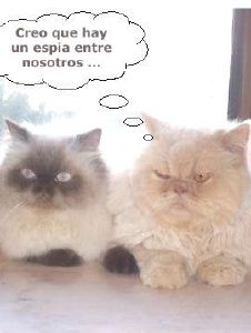 Foto de Lorrie