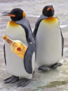 Foto de Drekt
