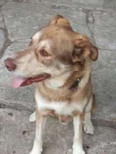 Foto de Keihty