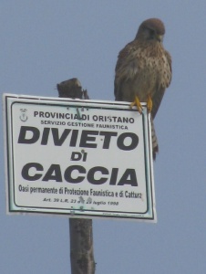 Photo de Efalcos