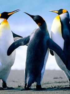 Foto de Walterguste