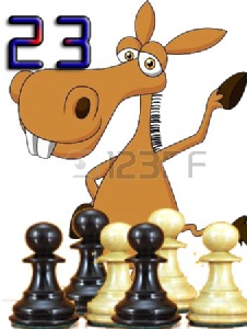 Foto de Asno23