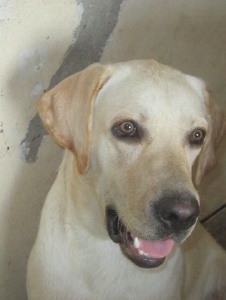 Foto de Macarena526