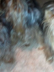Foto de Sorayadp18226