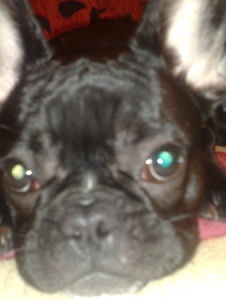 Foto de Dieguito2009