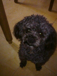 Foto de Manolito873