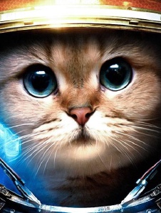 Foto de Coarx
