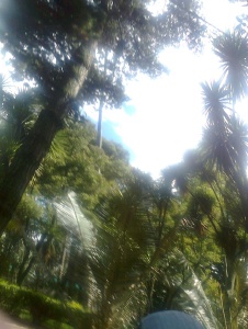 Foto de Nicolaspineda10