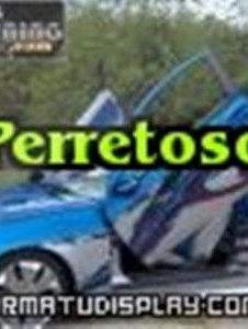 Foto de Perretoso