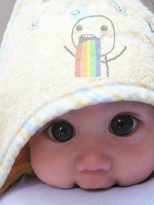 Foto de Pollyhoran
