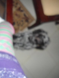 Foto de Elsaer56686