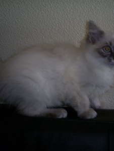 Foto de Babou130