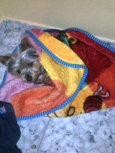 Foto von Rociorr81537