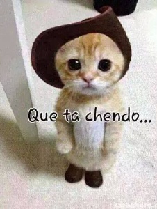 Photo de Pasajero751