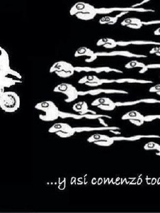 Foto de Monese