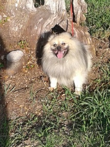 Foto de Monca