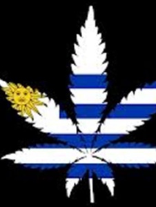 Foto de Charruita24