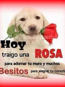 Foto de Aliciagm41693