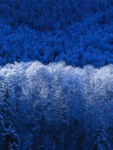 Foto de Crisstus