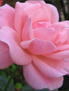 Photo de Marinarj