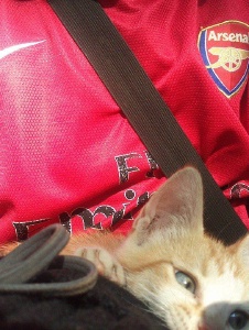Foto de Cuchuflim