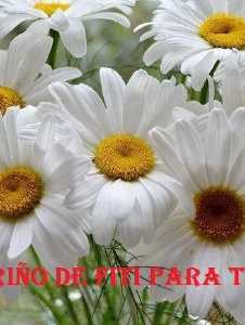 Picture of Mariadelao064