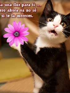 Foto de Alberto82701