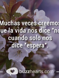 Foto de Genesis605