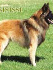 Foto de Isisissi
