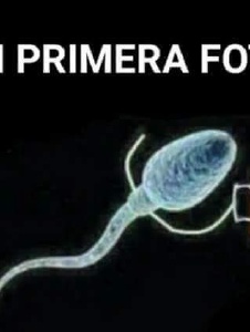 Foto di Lalog3