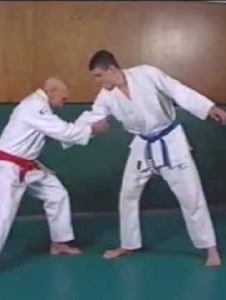 Foto di Dragongracie