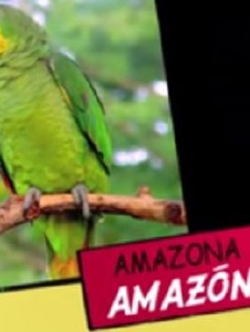 Foto de Edwinzenta