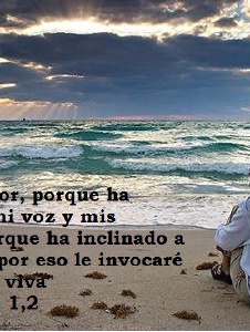 Foto de Canariona67
