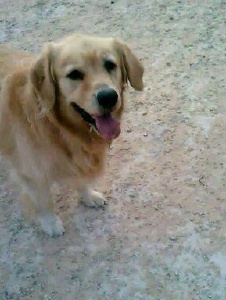Foto de Adriancomeme