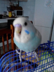Foto de Noemi116