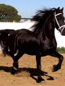 Foto de Elkomander23