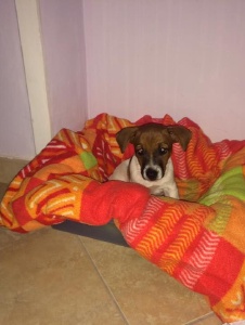 Foto de Giuliam6293