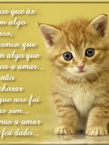 Foto de Ninia72