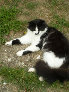 Photo de Sidachat